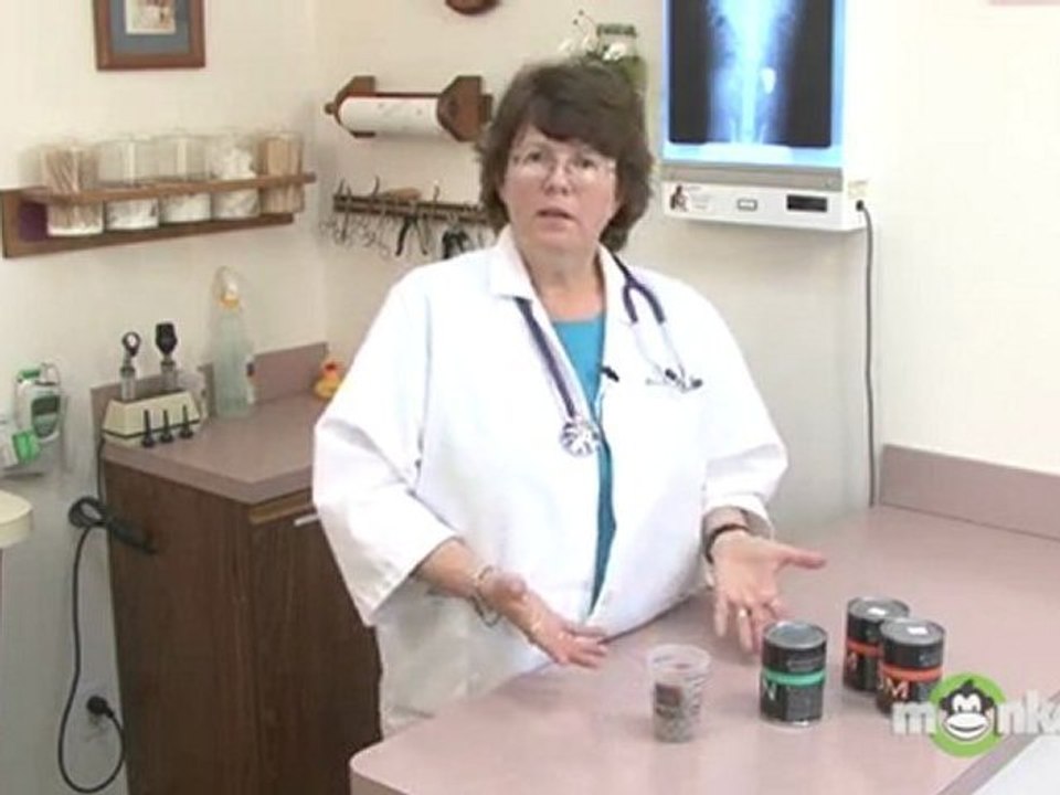 Dog Care - Feeding Tips