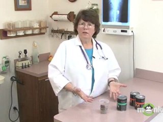 Dog Care - Feeding Tips