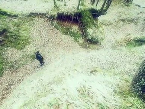 Mabel Matiz - Arafta