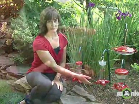 Attracting Birds - Types of Hummingbird Feeders