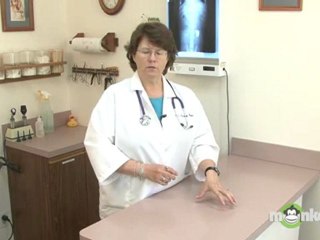 Cat Care - Heartworms and Parasites