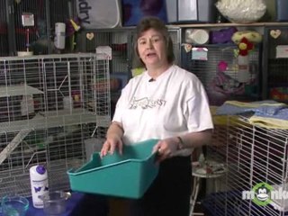 Ferret Care - Cage and Housing Requirements
