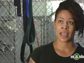 Are all vaccines given to the animal before going to their home?