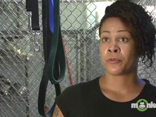 What can adopters do to help move the adoption process along quickly?