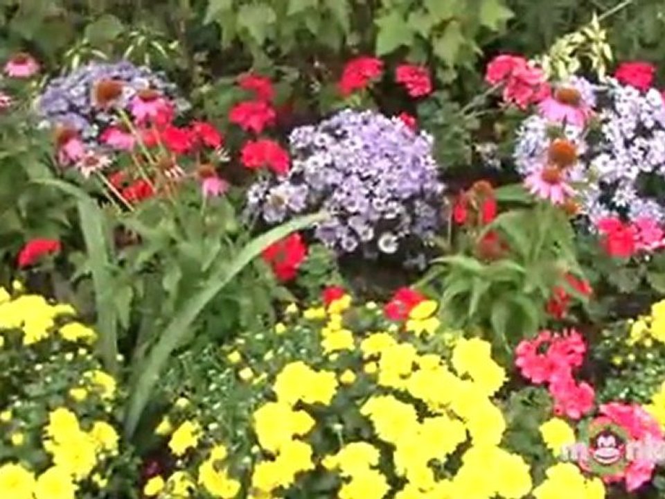 Planting Fall Garden Vegetables & Flowers