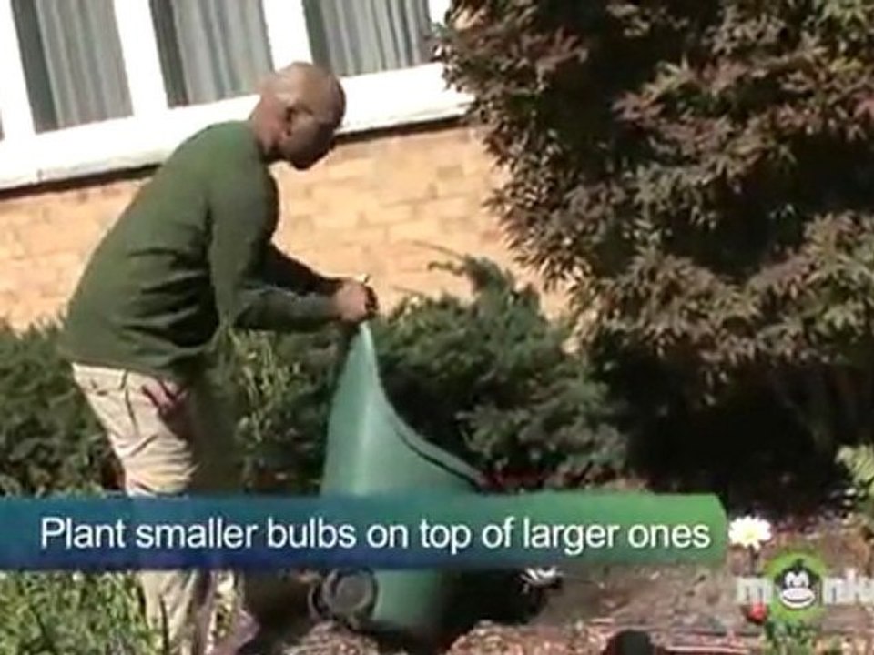 Planting Bulbs For Spring Flowers