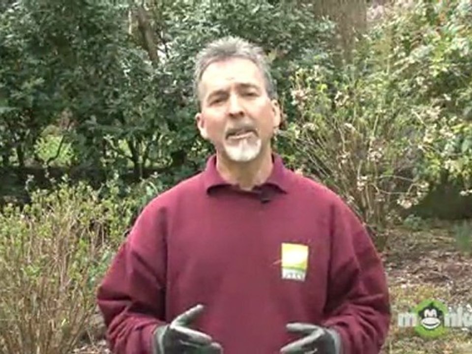 April Gardening Tips