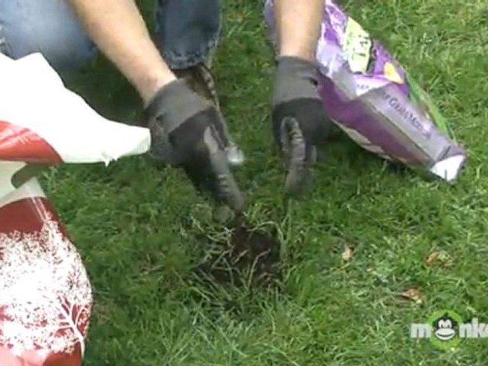 May Gardening Tips - Lawn