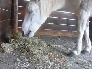Ma ponette.