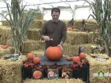 Cutting & Gutting the Pumpkin