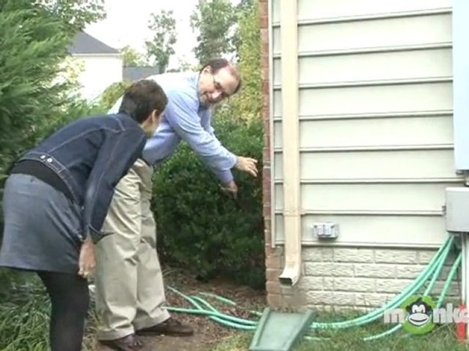 Rodent Prevention