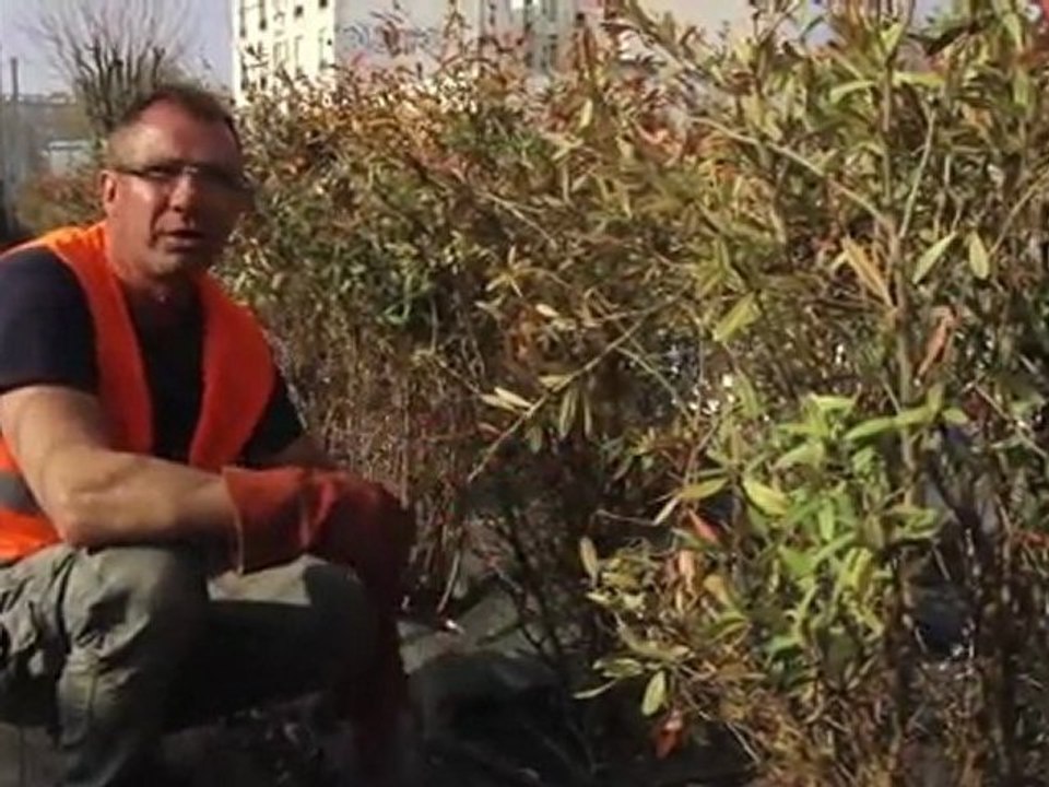 Des barbelés végétaux contre les intrusions