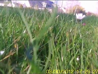 Test 2eme Vol Drone DIY Mike