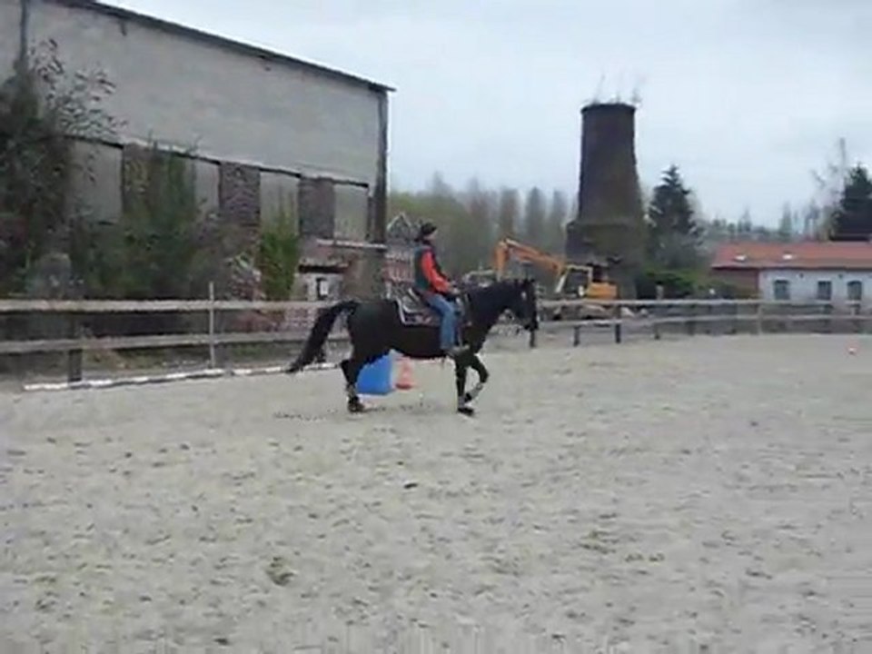 Quina le 30.03.2012 006