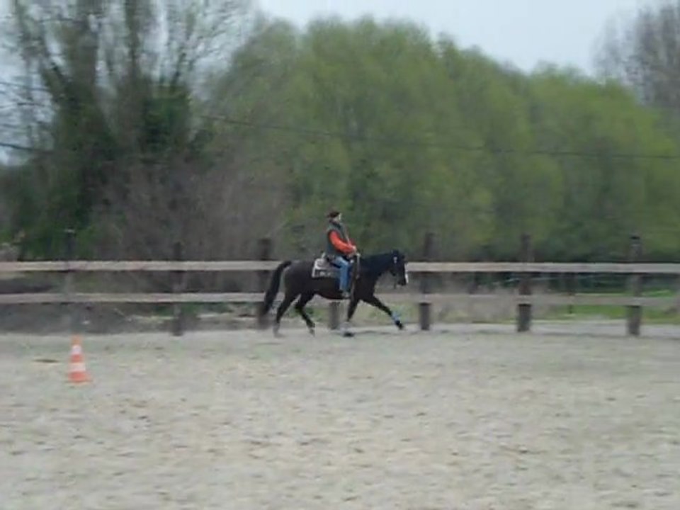 Quina le 30.03.2012 007