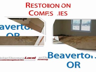 Beaverton OR Water Damage Local