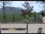 concours d'hunter  du 11/03/12 en club poney 1