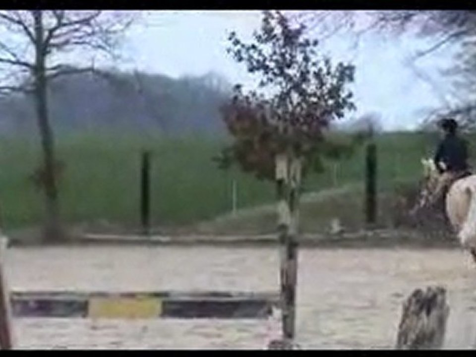 concours d'hunter  du 11/03/12 en club poney 1