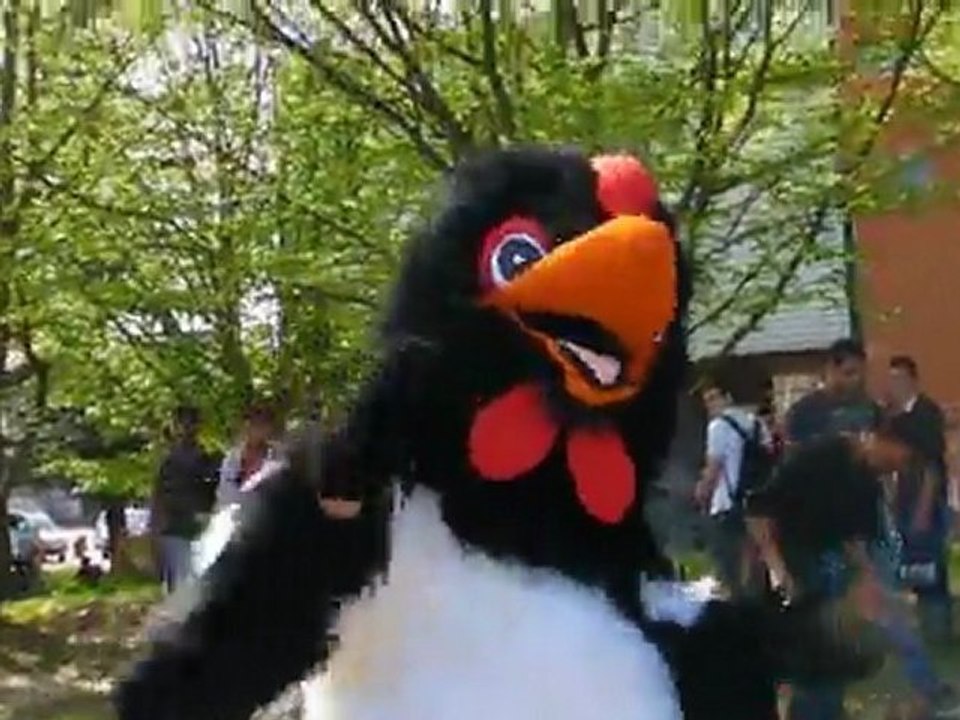 29-03-2012 Campus Day - Smekta Tourista Orkestra (part2)