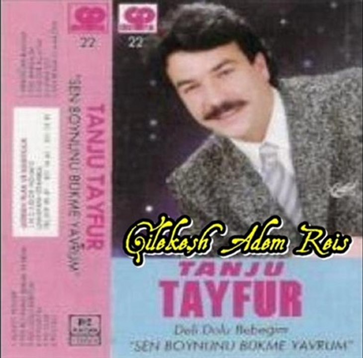 Tanju Tayfur - Sevilmezmi