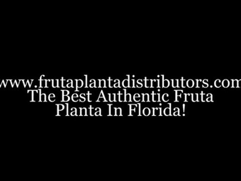 Reduce Weight With Our Authentic Fruta Planta In Miami, Florida!
