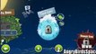 Latest Game Angry Birds Space 2012 *Download Now*