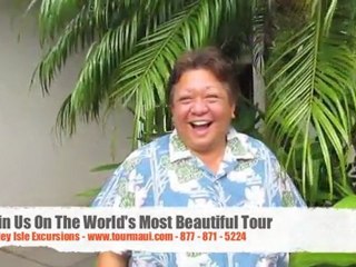 Maui Guides At Valley Isle Excursions