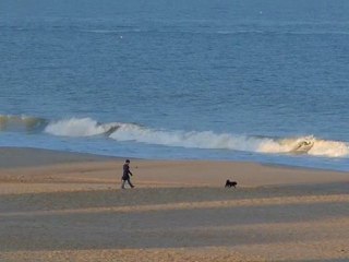 Samedi 31 Mars - Surf report vidéo 8H30