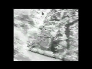 Burhan Berken - Zeri