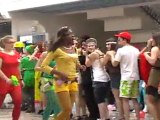 VESOUL : CARNAVAL AU LYCÉE DES HABERGES, CRU 2012