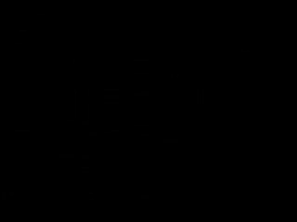 webcam_1333179429396