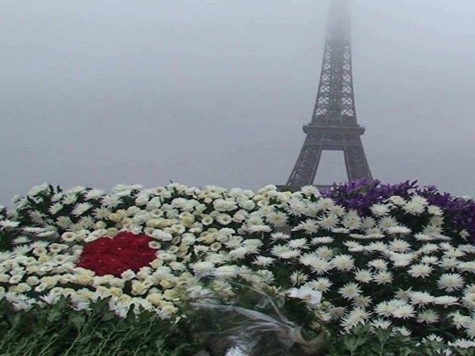 A Wave of Flowers / Une Vague de Fleurs