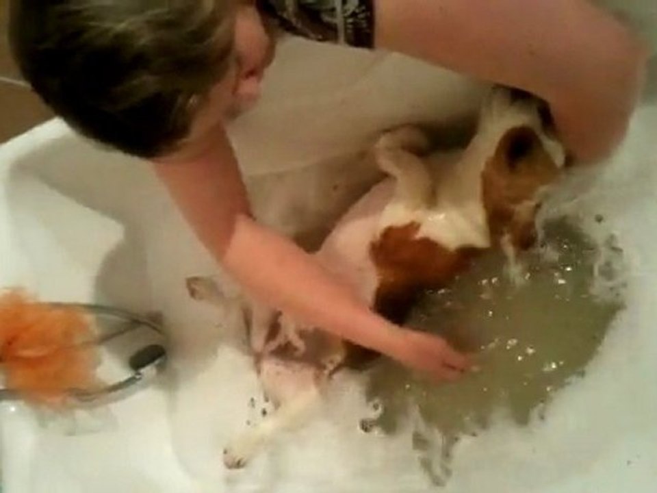 Bain Amazon