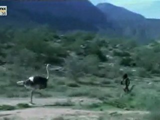 Homo Sapiens 1 - Teil 1 von 4.flv