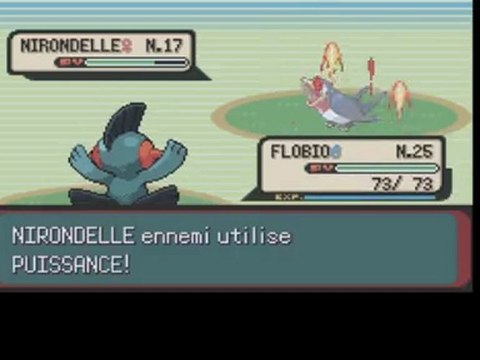 [GBA] Pokémon Version Émeraude - 06 : En route vers Autéquia