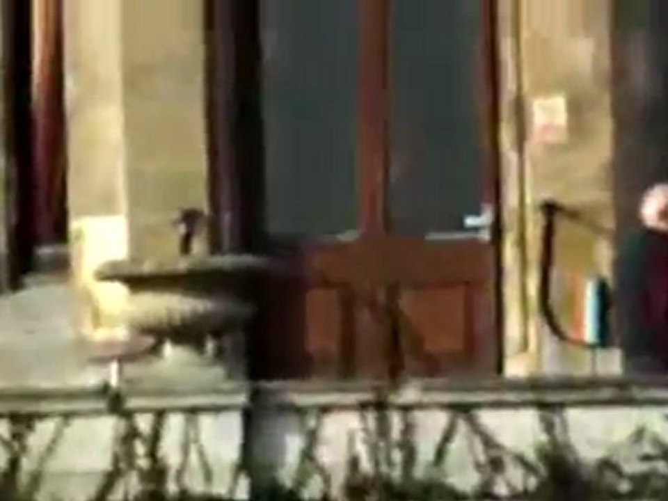 Nikon COOLPIX L810 16.1 MP Digital Camera with 26x Zoom NIKKOR ED Glass Lens and 3-inch LCD (Black) Review