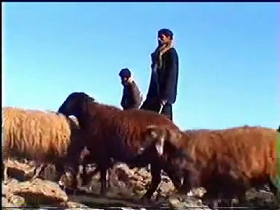 Hozan Muzaffer   Helin