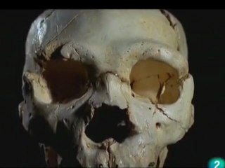 400 000 AC A sima dos osos Heidelberg