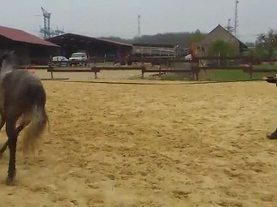 Lupa Longe 310312