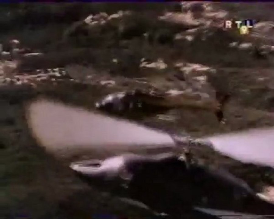 Supercopter - 2x14 - A La Recherche De Loki extrait 1