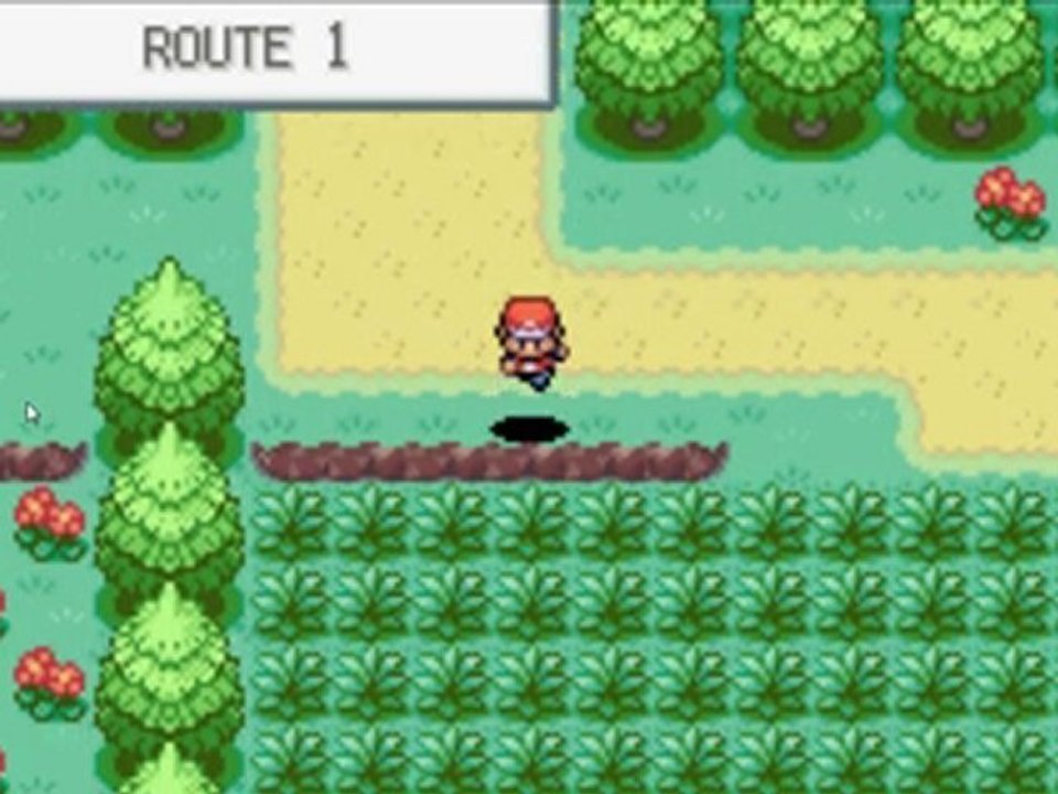 Pokemon Rouge feu Playtrought-Partie 2-Une petite vidéo !