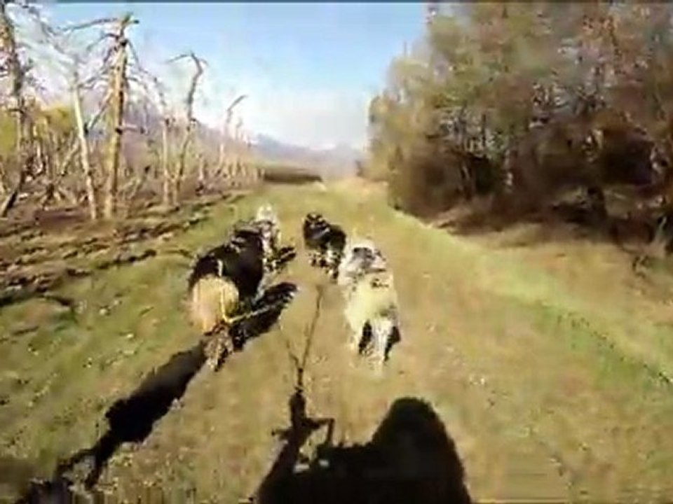 Ardon 31.03.12