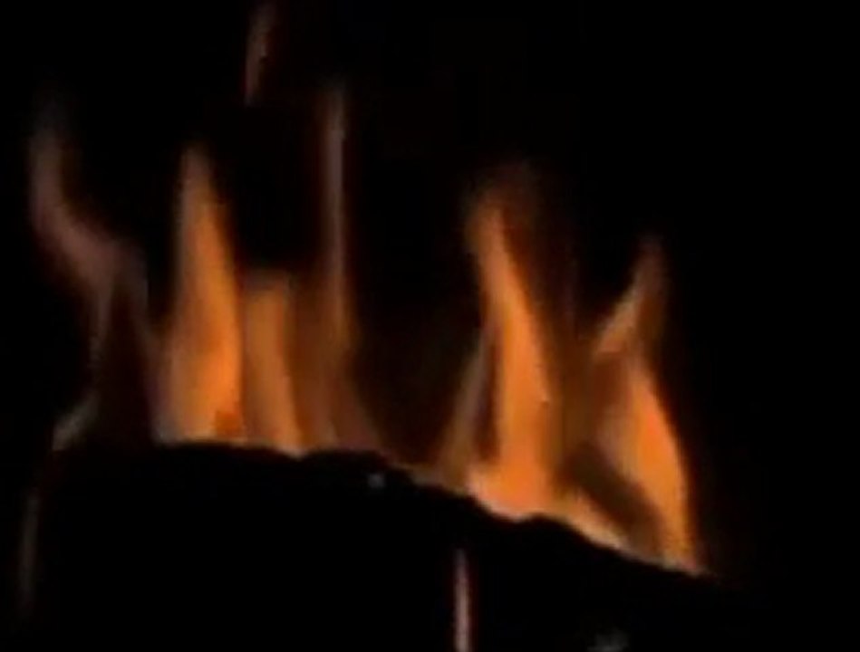 Niran ünsal. Neyleyim