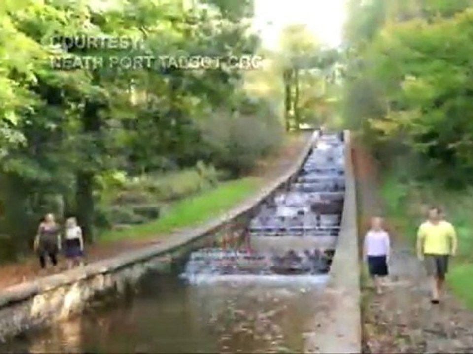 DWTS Season 14: Who Is Katherine Jenkins?