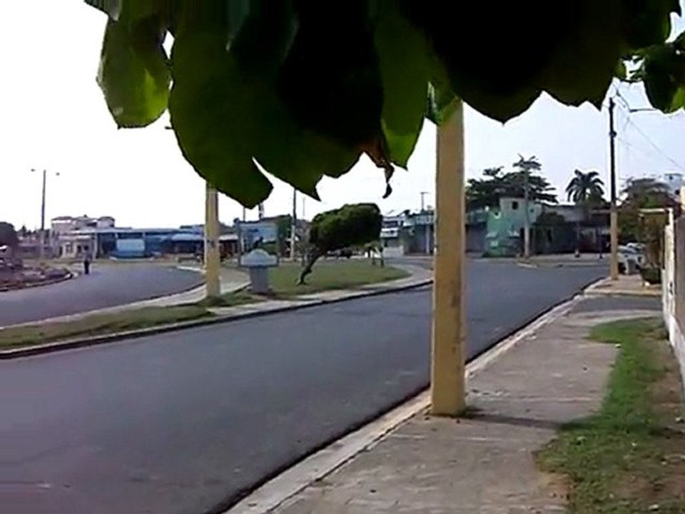 Malecon de San Pedro de Marcoris 1