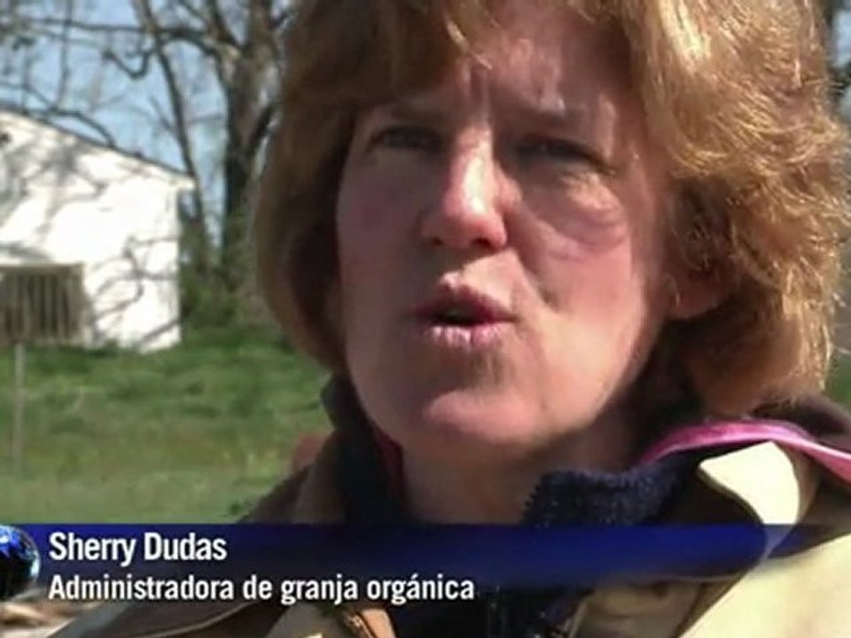 Murciélagos en peligro de extinción