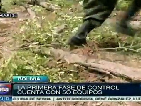 Bolivia evita que se expanda cultivo ilegal de hojas de coca