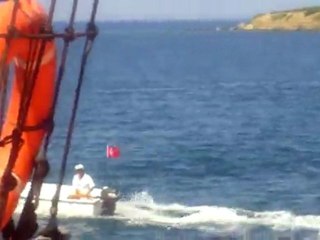 chien tres drole faisant du surf