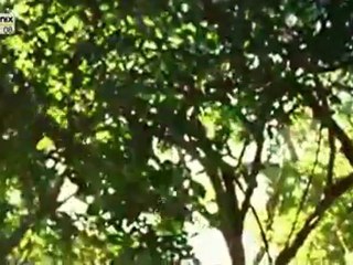 Homo Sapiens 1 - Teil 4 von 4.flv