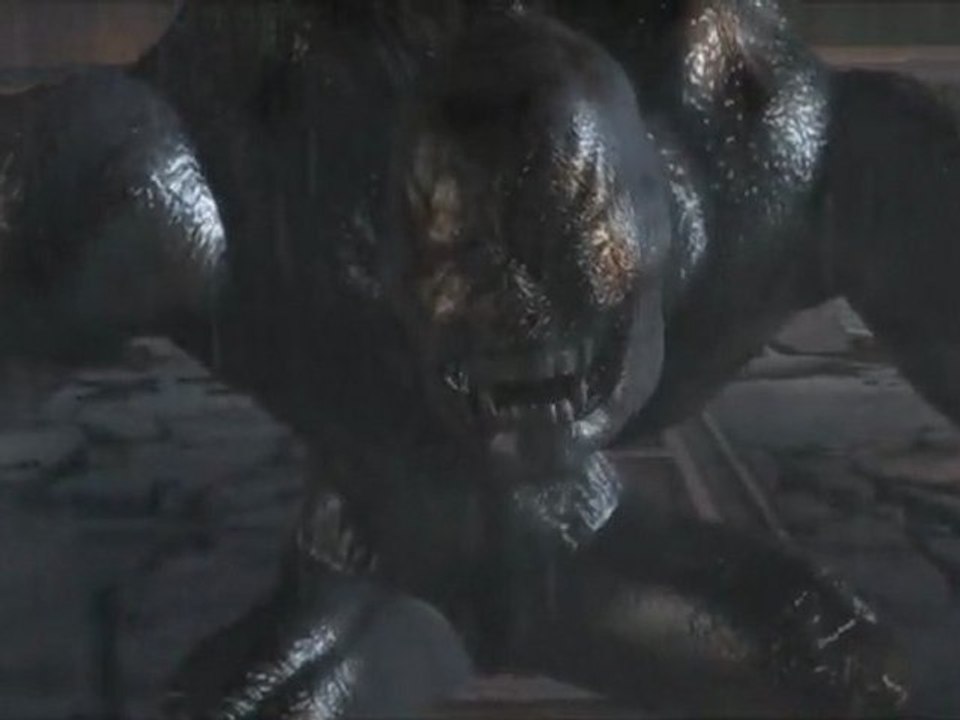 Ninja gaiden 2 walkthrough 7